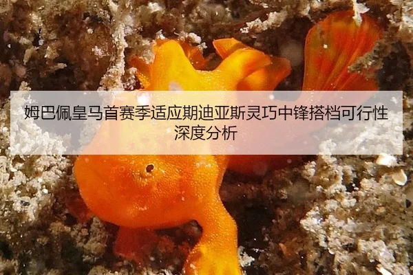 mu-ba-pei-huang-ma-shou-sai-ji-shi-ying-qi-di-ya-si-ling-qiao-zhong-feng-da-dang-ke-xing-xing-shen-du-fen-xi-2-834.jpg