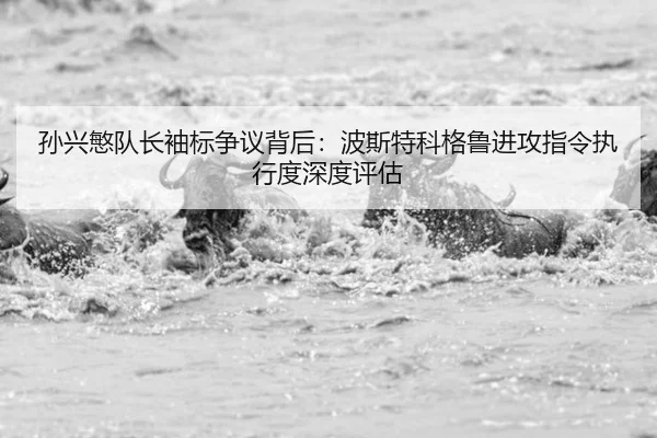 sun-xing-min-dui-zhang-xiu-biao-zheng-yi-bei-hou-bo-si-te-ke-ge-lu-jin-gong-zhi-ling-zhi-xing-du-shen-du-ping-gu-2-702.jpg