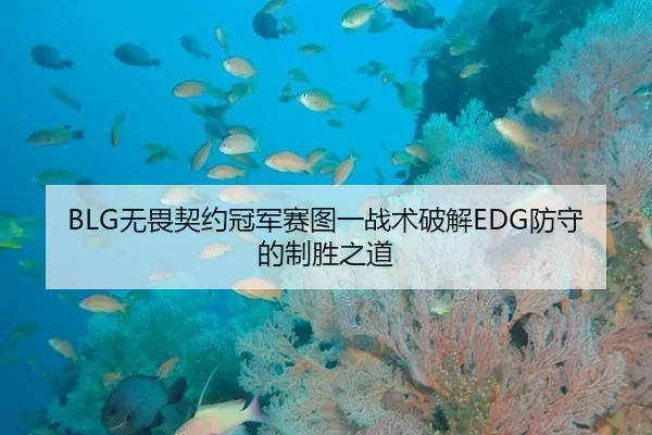 BLG无畏契约冠军赛图一战术破解EDG防守的制胜之道