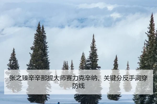 张之臻辛辛那提大师赛力克辛纳，关键分反手洞穿防线