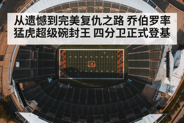 从遗憾到完美复仇之路 乔伯罗率猛虎超级碗封王 四分卫正式登基
